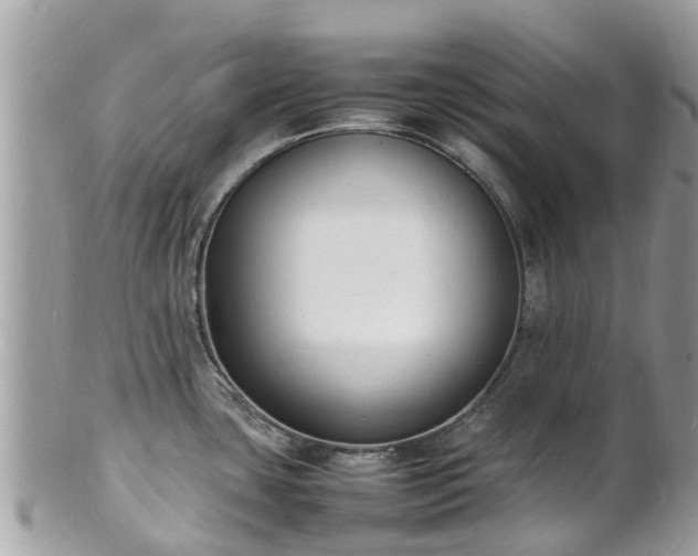 X0000100981435200807011433