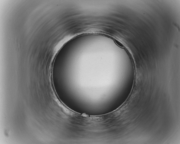 X0000100981437200807011433