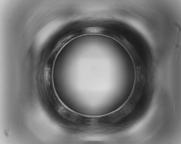 X0000100981438200807011433