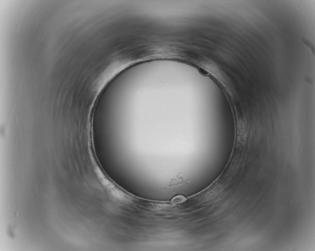 X0000100981439200807011433