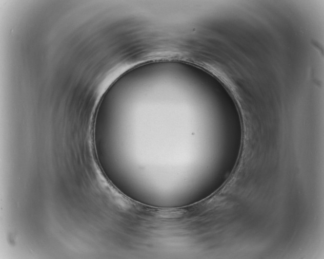 X0000100981440200807011433