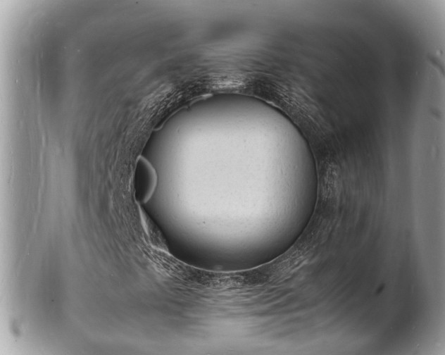 X0000100981441200807011432