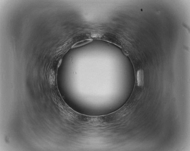 X0000100981443200807011432