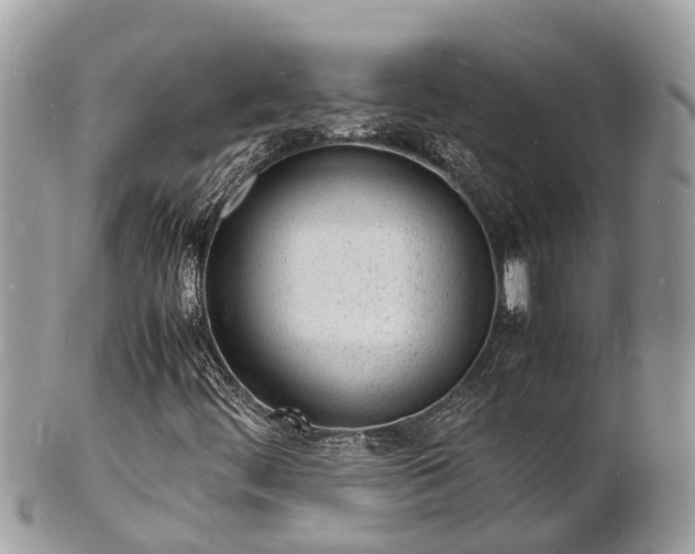 X0000100981444200807011432