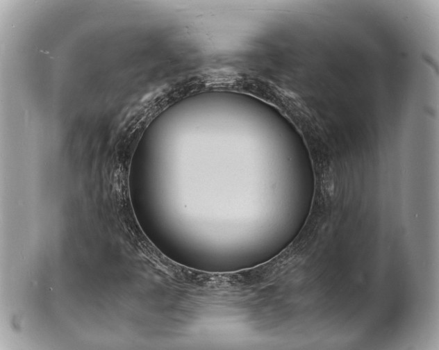 X0000100981445200807011432