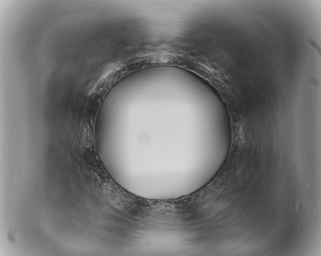 X0000100981446200807011432