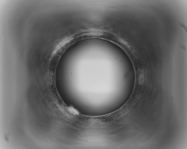 X0000100981448200807011432