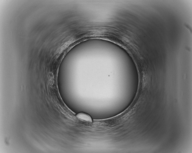 X0000100981449200807011432