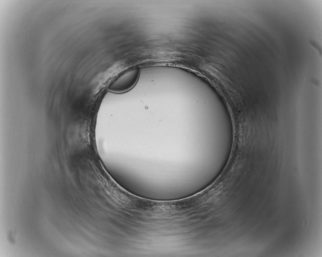 X0000100981451200807011432