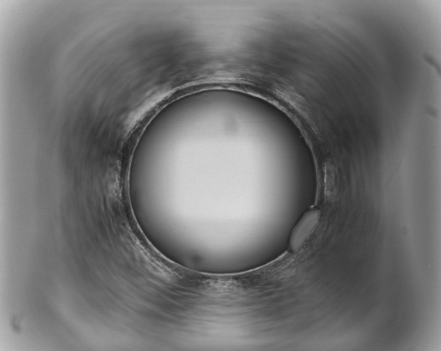 X0000100981452200807011432