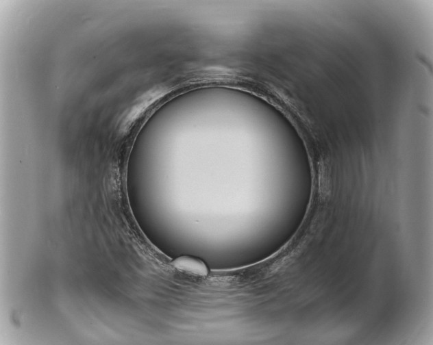 X0000100981453200807011432