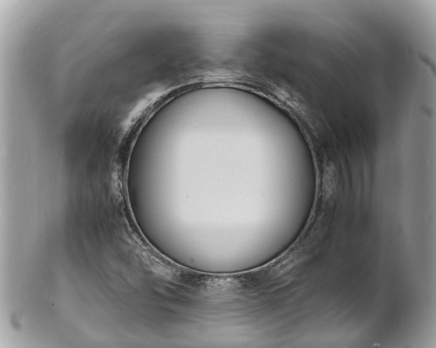 X0000100981454200807011432