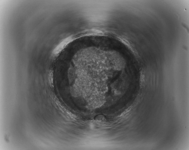 X0000100981455200807011432