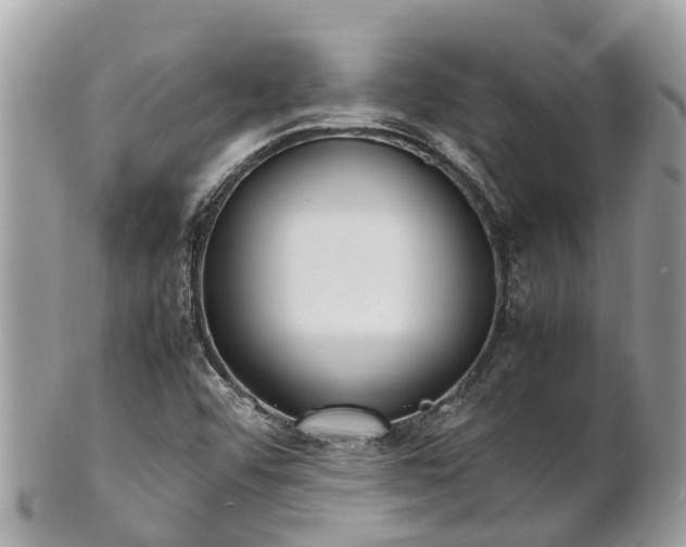 X0000100981456200807011432