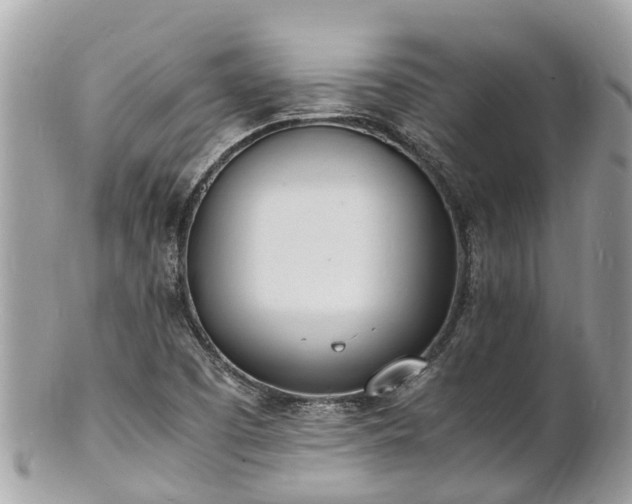 X0000100981457200807011432