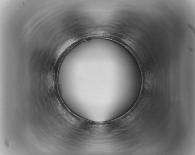 X0000100981458200807011432