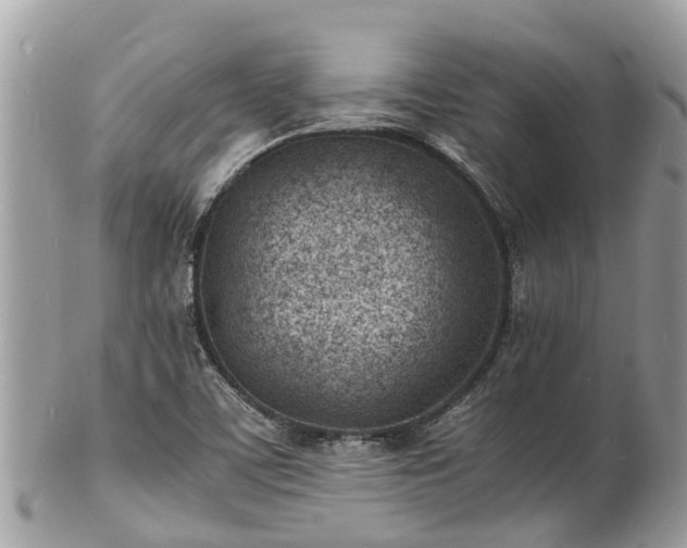 X0000100981459200807011432