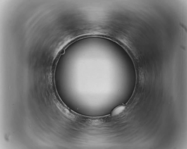 X0000100981460200807011432