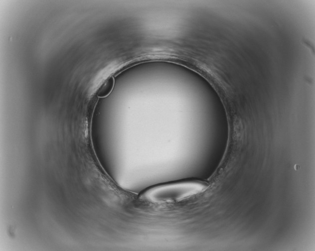 X0000100981461200807011432