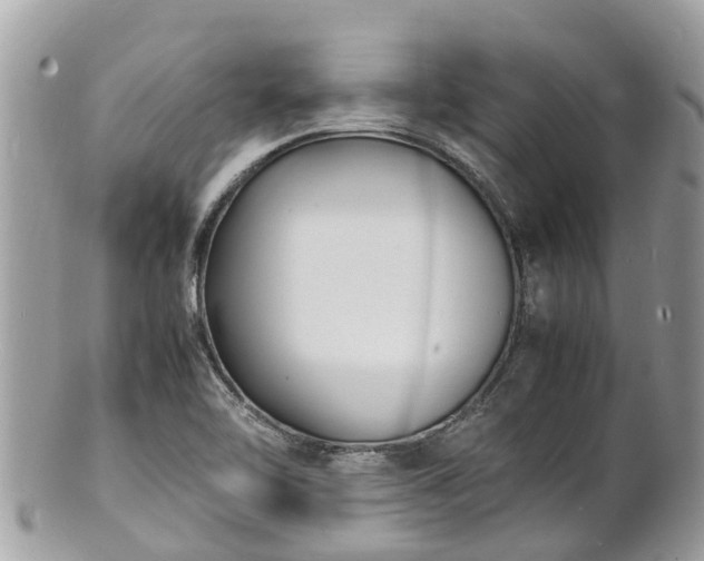 X0000100981462200807011432