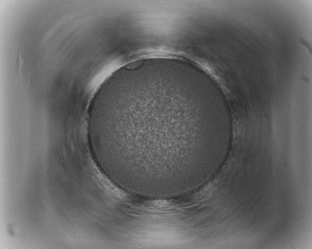 X0000100981463200807011432