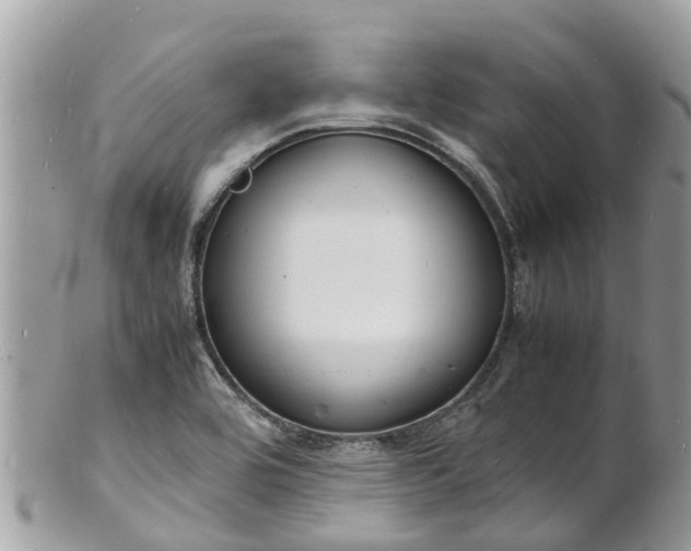 X0000100981464200807011432