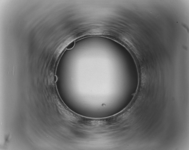 X0000100981465200807011432