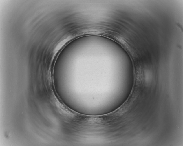 X0000100981466200807011432