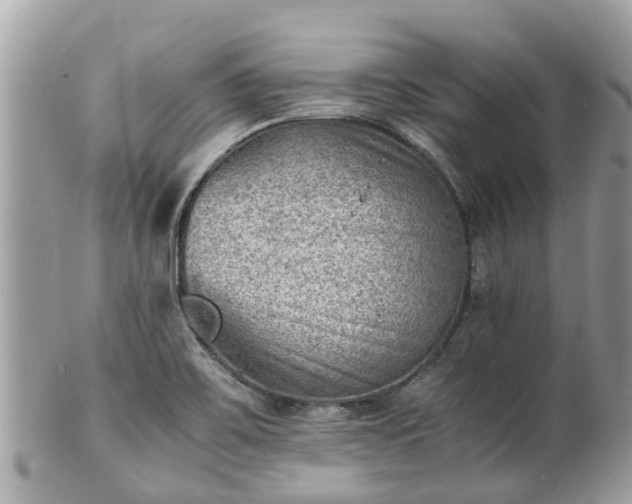 X0000100981467200807011432