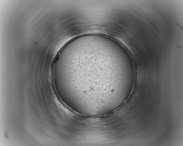 X0000100981468200807011432