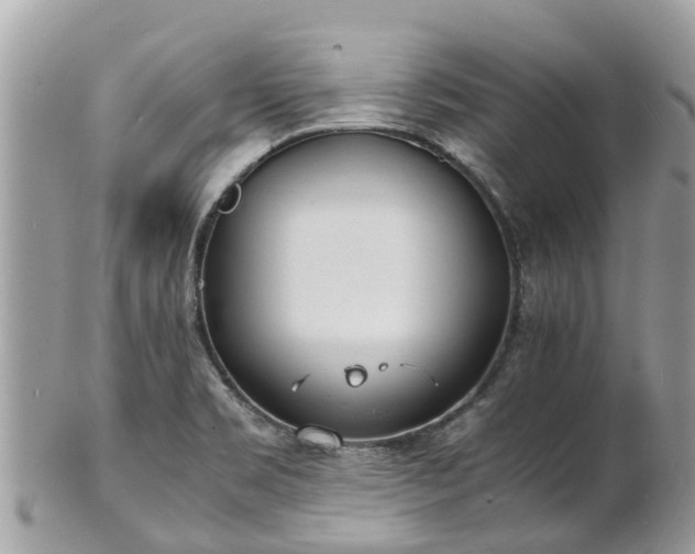 X0000100981469200807011432