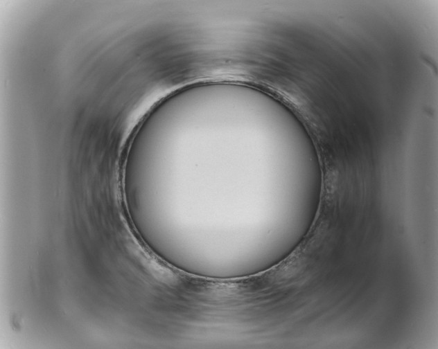 X0000100981470200807011432