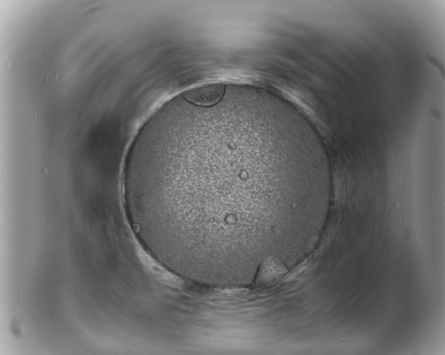 X0000100981471200807011432