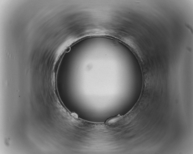 X0000100981472200807011432