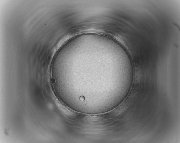 X0000100981474200807011432