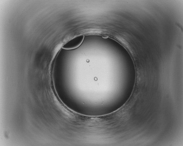 X0000100981475200807011432