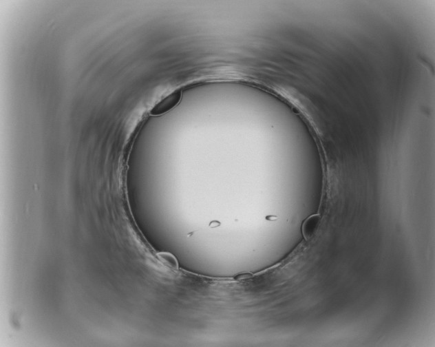 X0000100981477200807011432