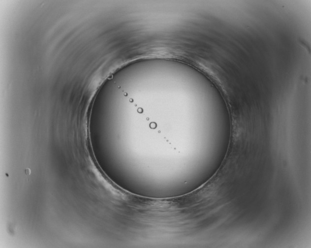 X0000100981479200807011432