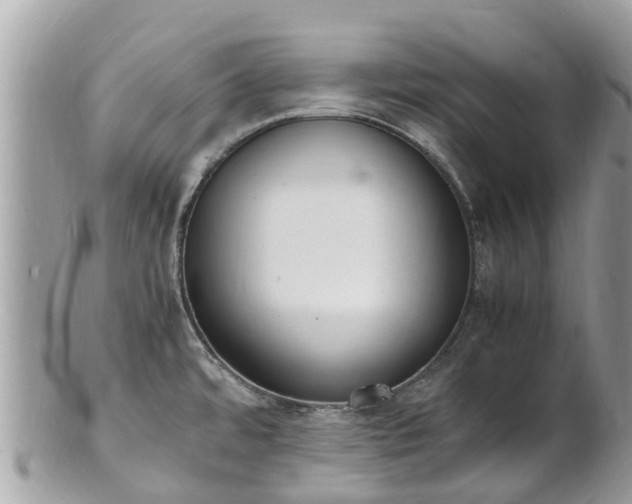 X0000100981480200807011432