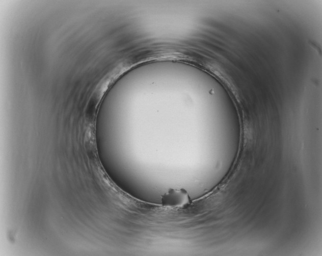 X0000100981481200807011432