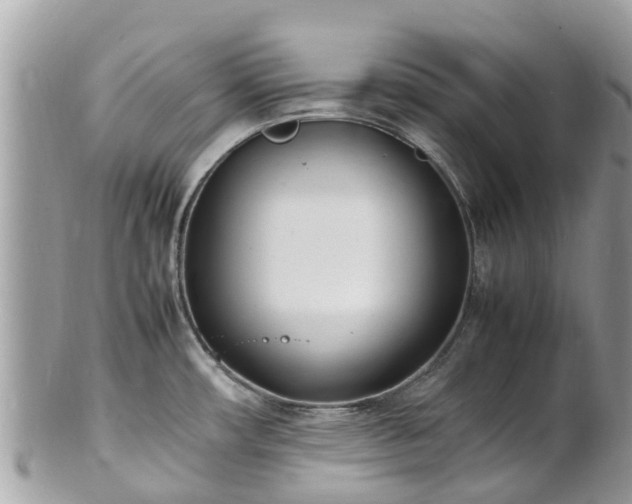 X0000100981482200807011432