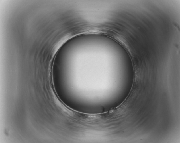 X0000100981483200807011432