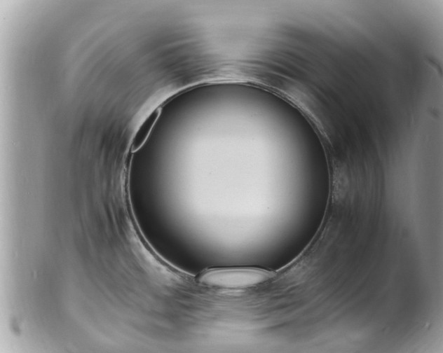 X0000100981484200807011432