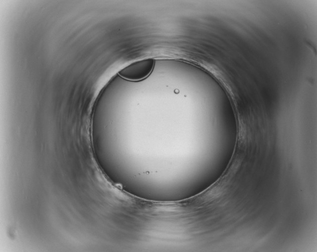 X0000100981486200807011432