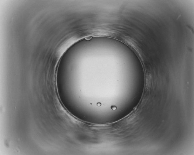 X0000100981487200807011432