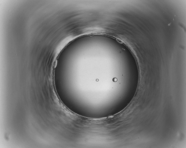 X0000100981488200807011432