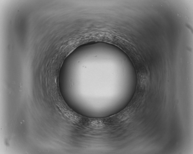 X0000100981489200807011431