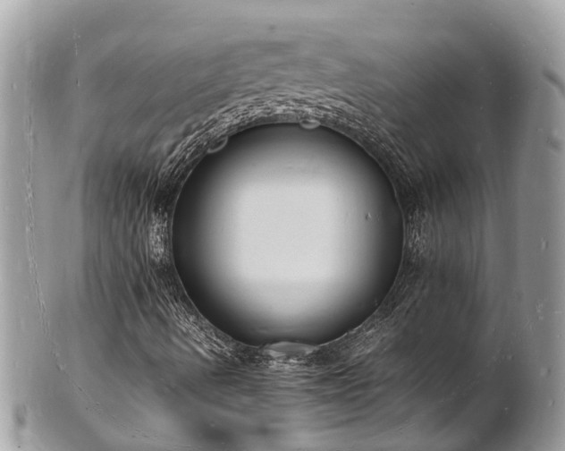 X0000100981490200807011431