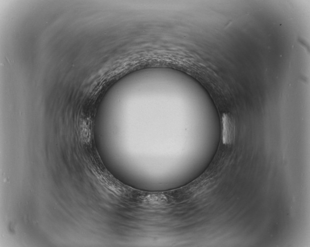 X0000100981491200807011431