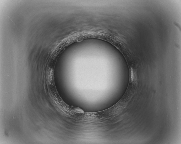 X0000100981492200807011431